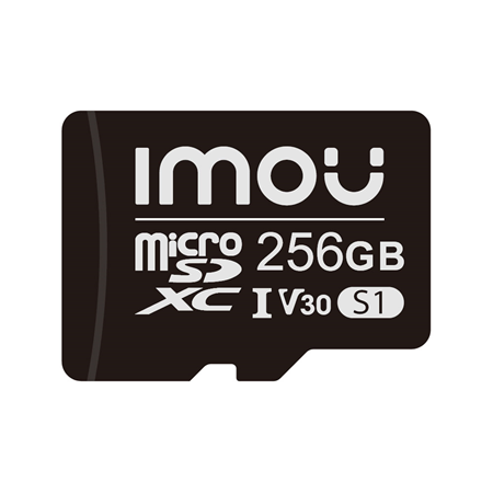 256 GB SD Card-ST2-256-S1